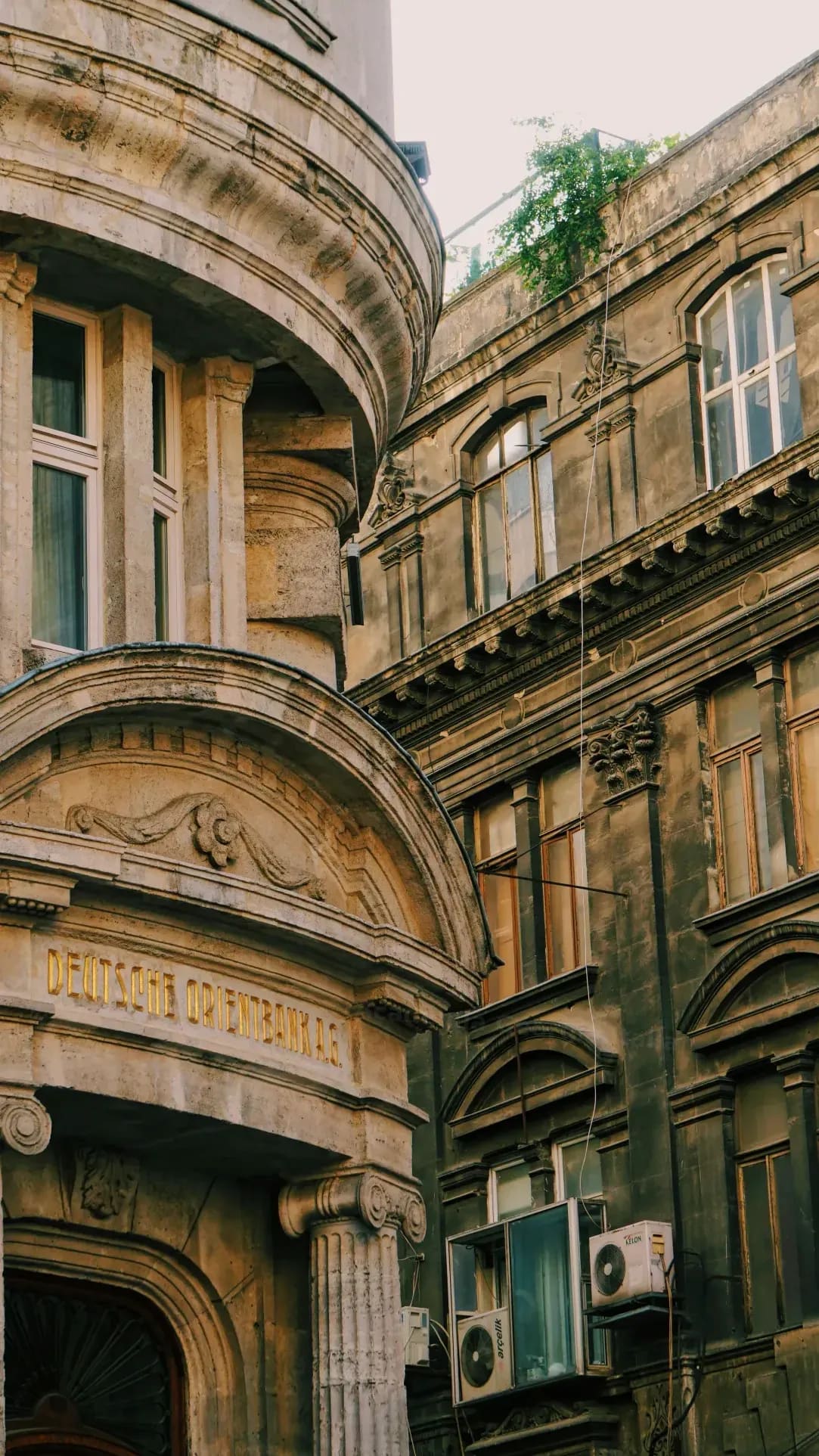 Academia Georgia Italia 12